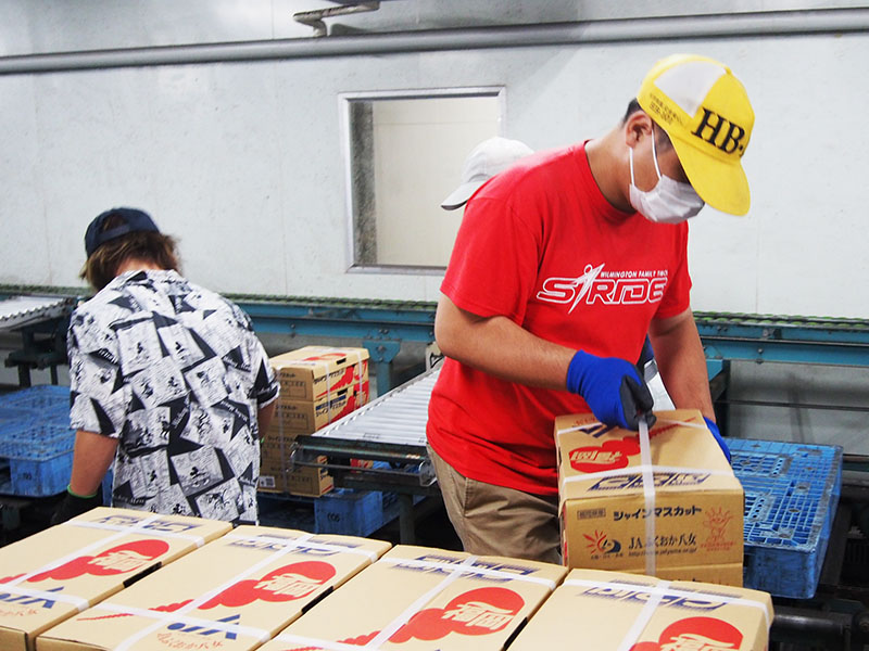 施設外実習の様子-写真3
